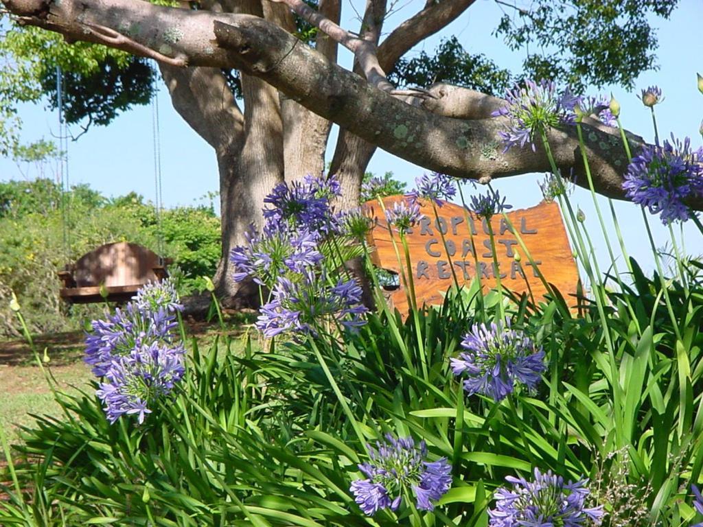 Tropical Coast Retreat - Pet Friendly - Adult Only Vendégház Kingscliff Kültér fotó
