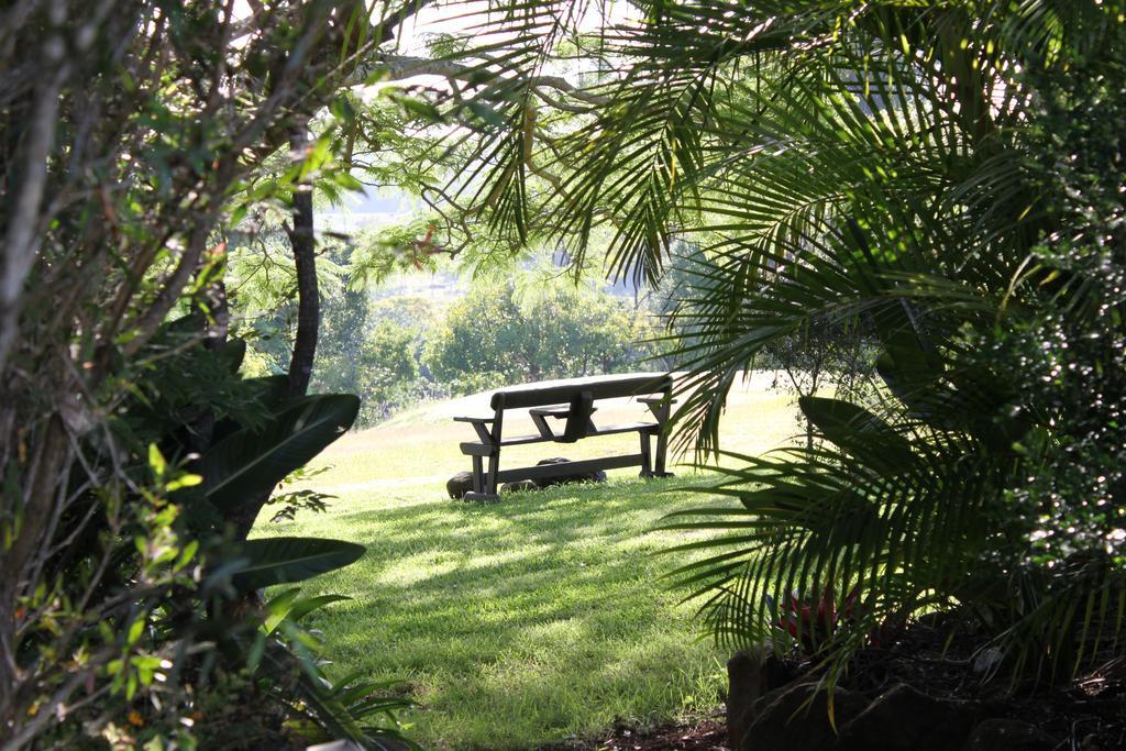 Tropical Coast Retreat - Pet Friendly - Adult Only Vendégház Kingscliff Kültér fotó