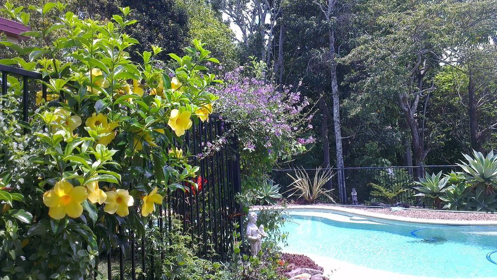 Tropical Coast Retreat - Pet Friendly - Adult Only Vendégház Kingscliff Kültér fotó