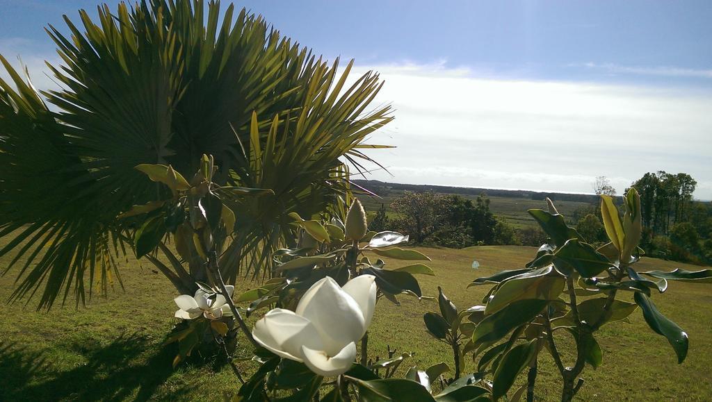 Tropical Coast Retreat - Pet Friendly - Adult Only Vendégház Kingscliff Kültér fotó