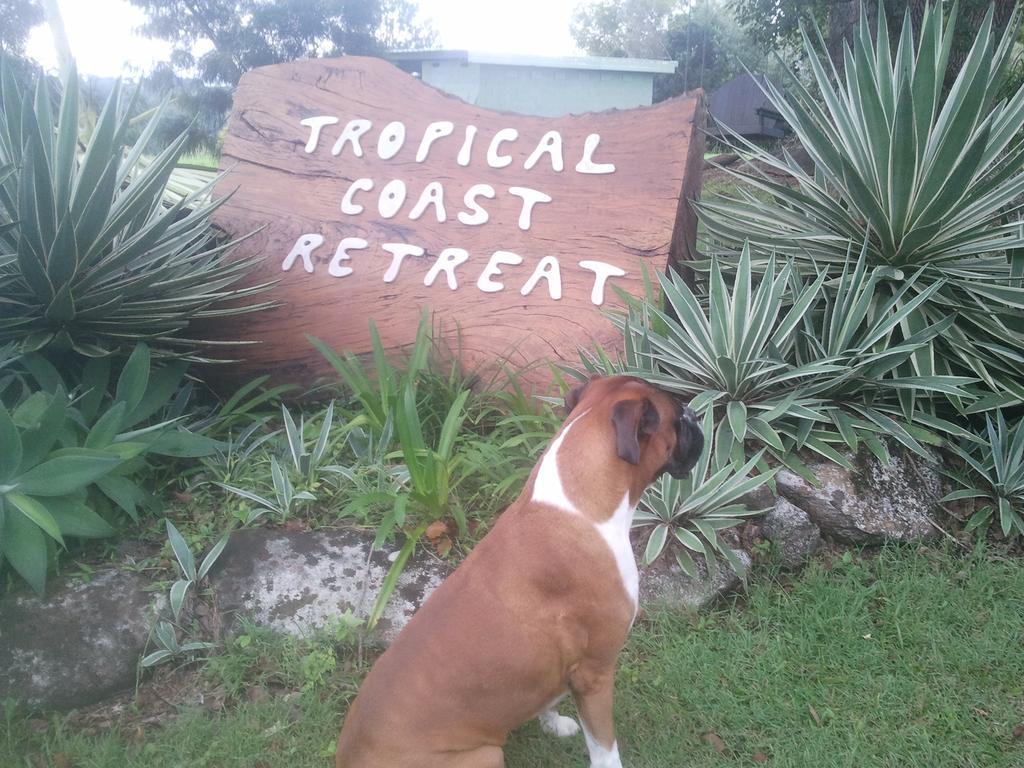 Tropical Coast Retreat - Pet Friendly - Adult Only Vendégház Kingscliff Kültér fotó